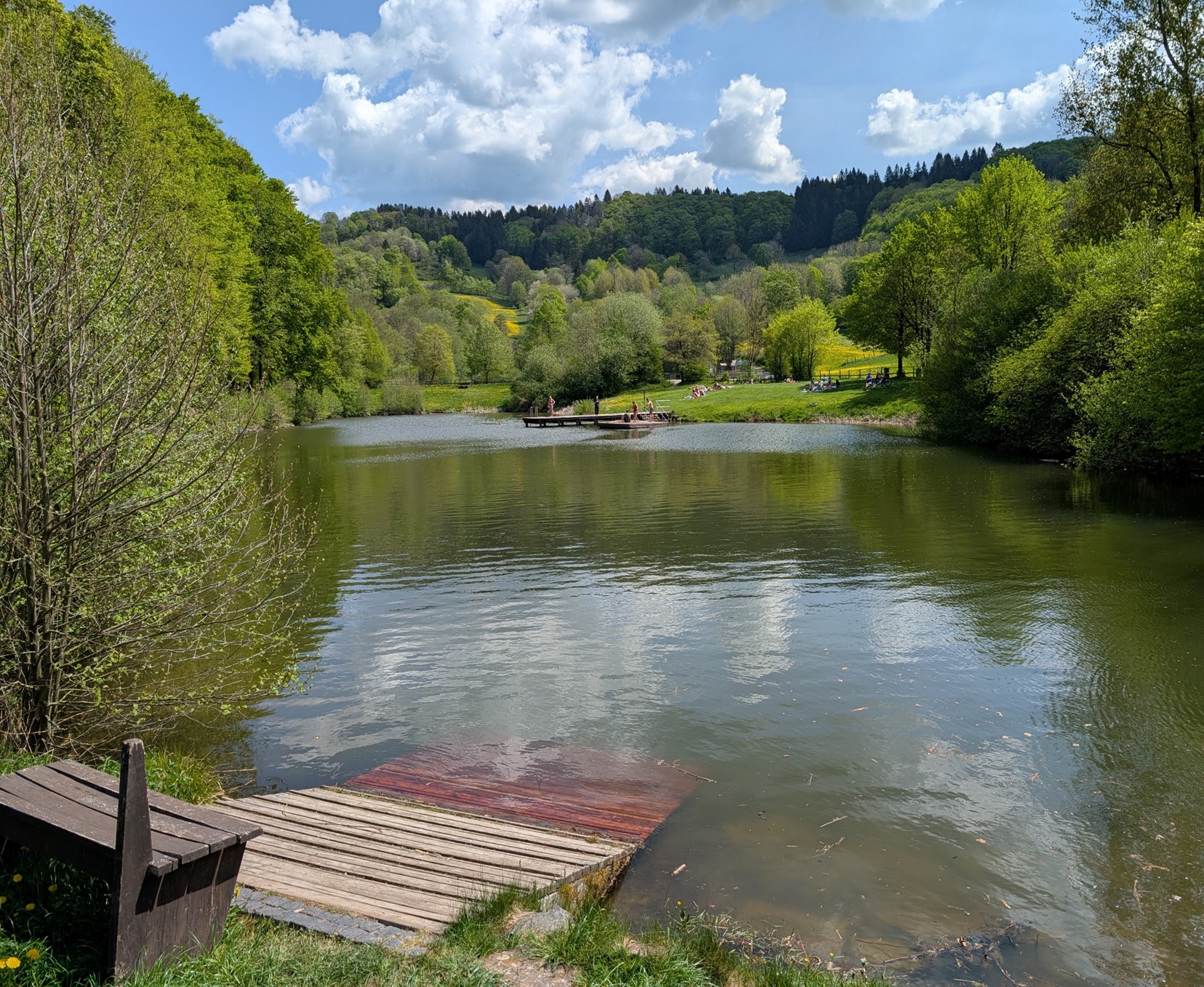 Seelandschaft im Sommer