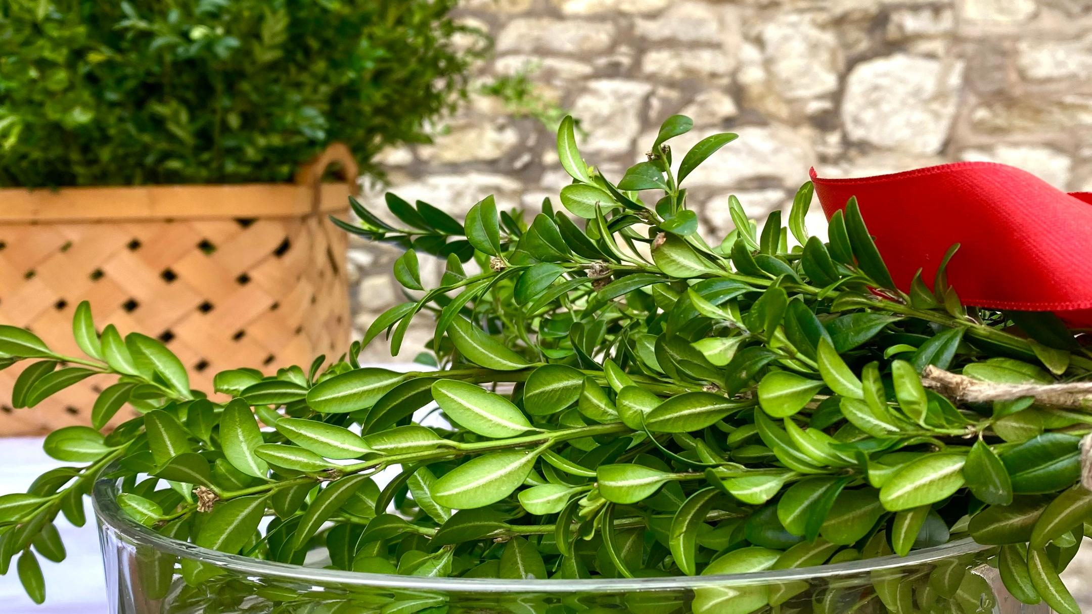 Palmsonntag