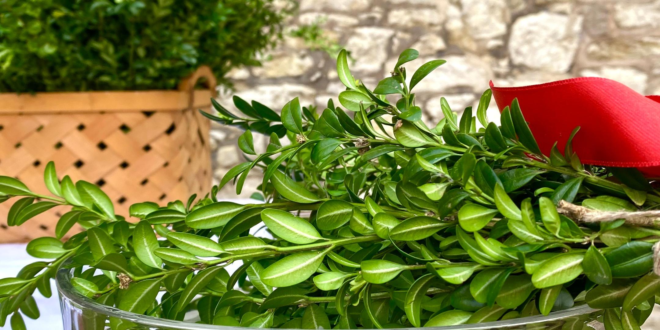 Palmsonntag